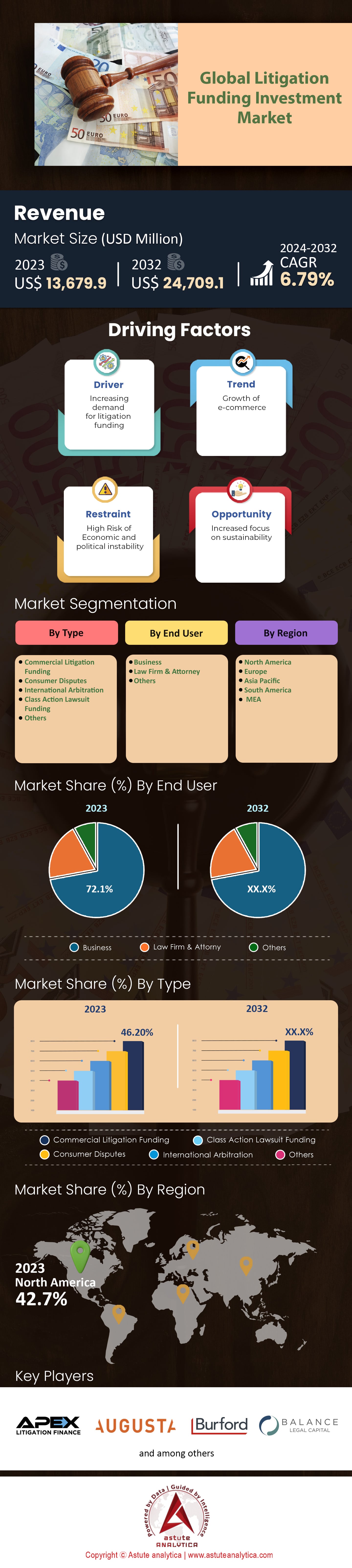 Litigation Funding Investment Market